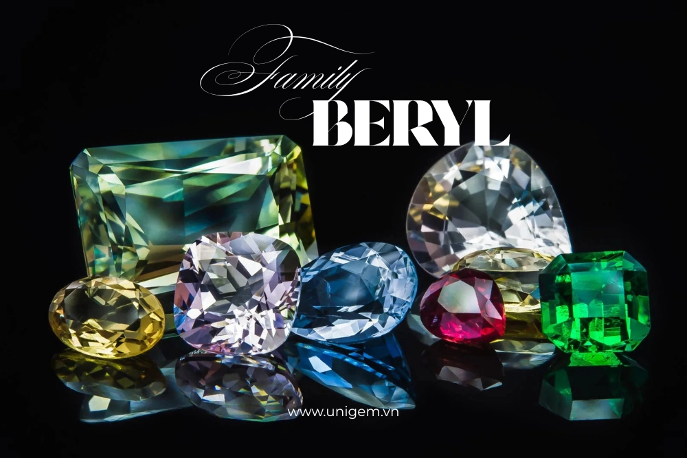 beryl family 1