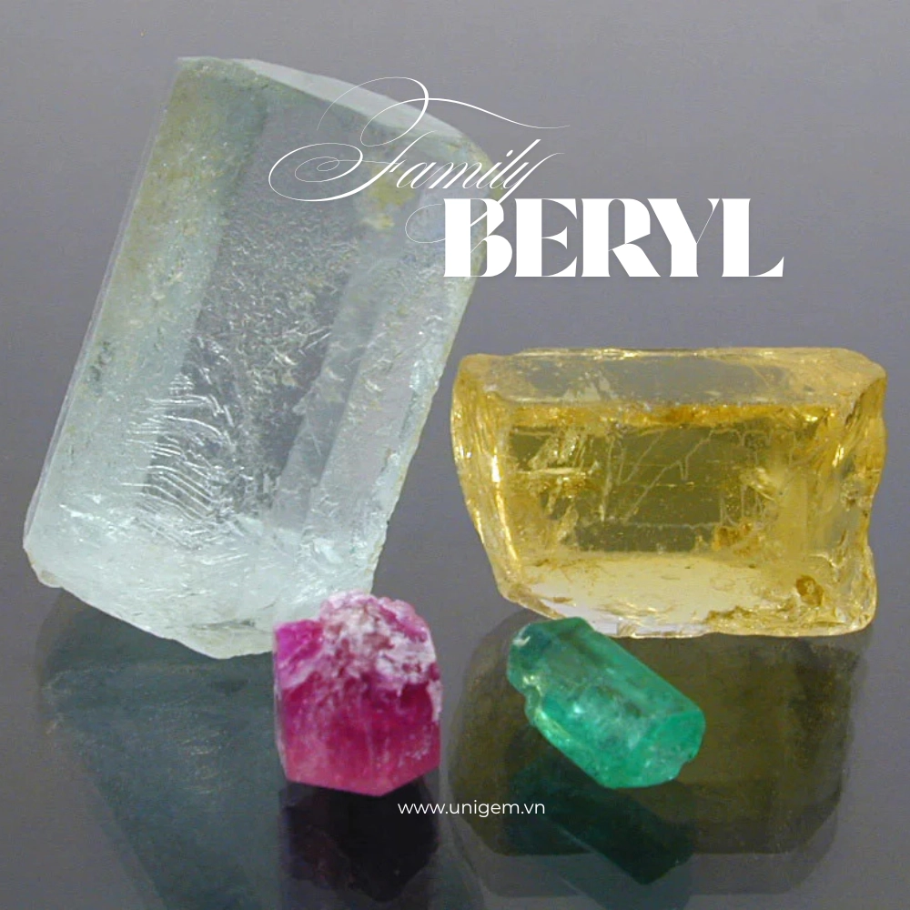 beryl family 3