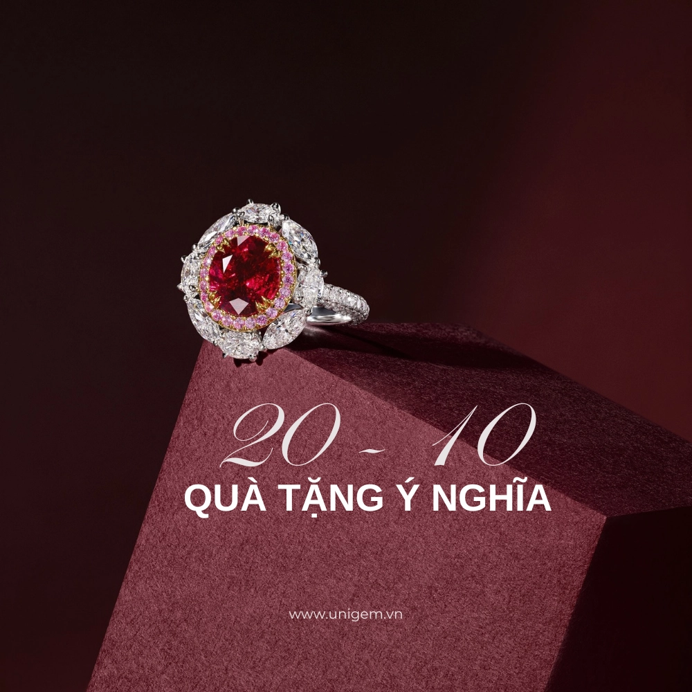 qua tang 20 10 UNIGEM
