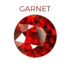 GARNET 1