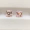 da morganite 2 1 ct 2 vien 4