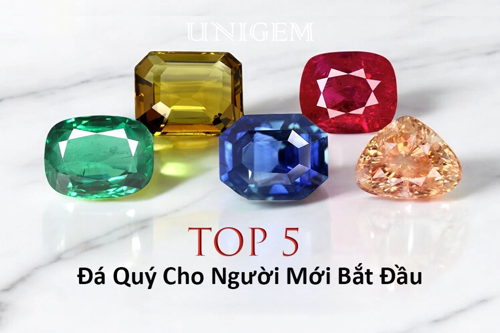 top 5 da quy unigem