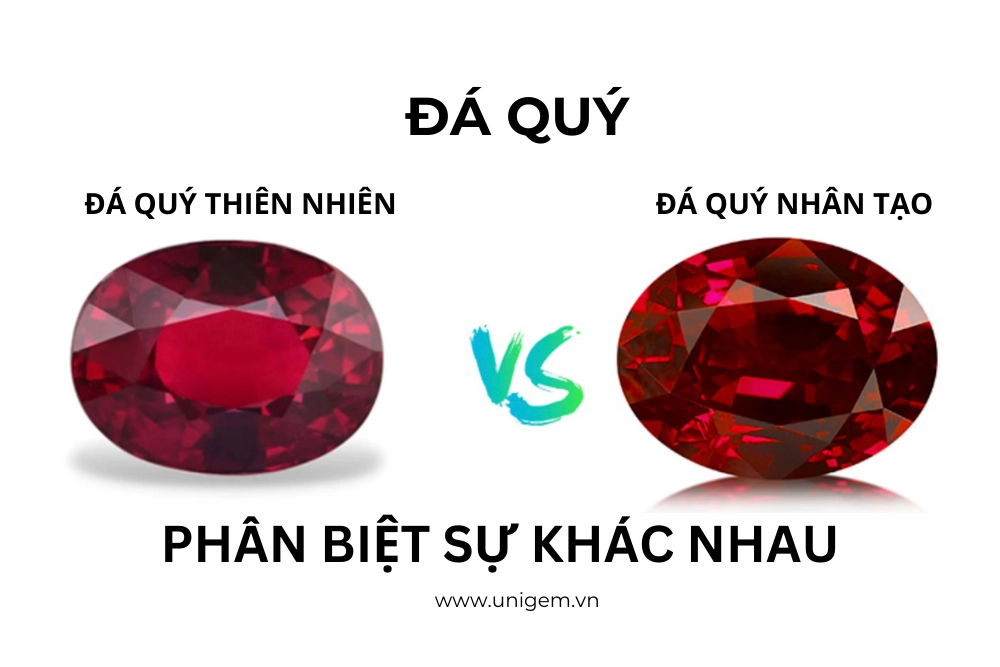 phan biet da quy thien nhien va da quy nhan tao 2