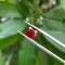 da garnet do 2 4 ct 4