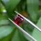 da garnet do 2 8 ct 2