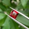 da garnet do 3 2 ct 2