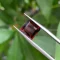 da garnet do 5 0 ct 3