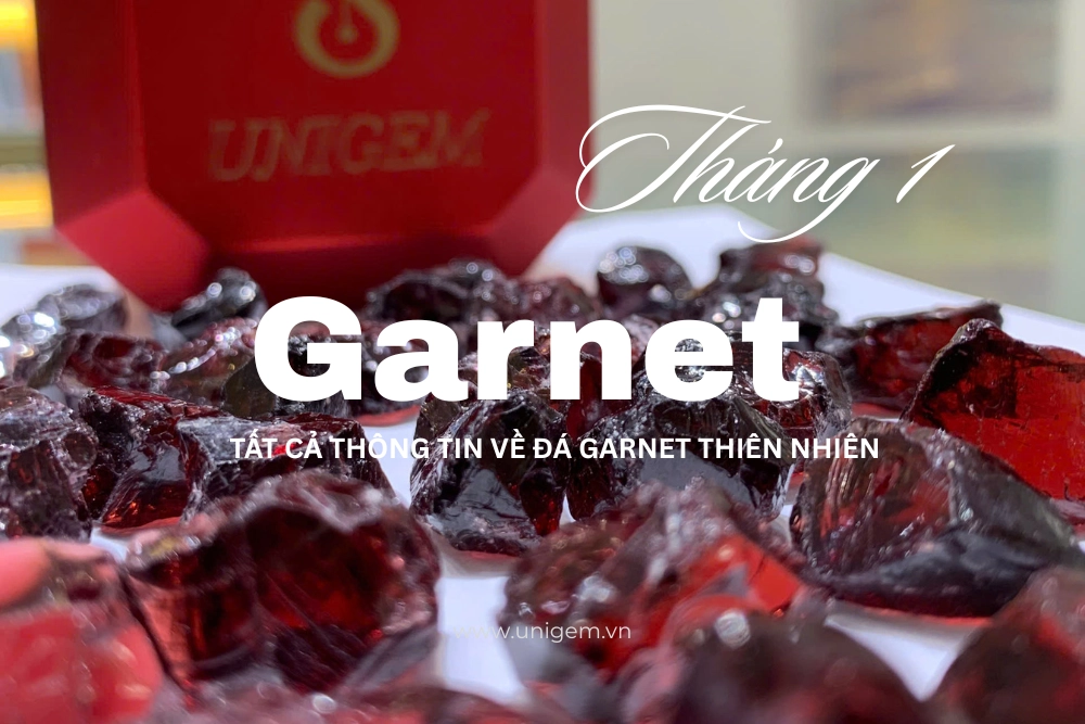 da garnet da sinh thang 1