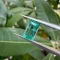 da emerald ngoc luc bao 1 31 ct 2