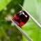 da garnet do 4 7 ct 2