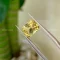 da heliodor 1 63 ct 1